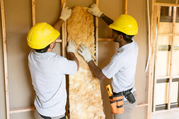 Best Affordable Insulation Services  in USA