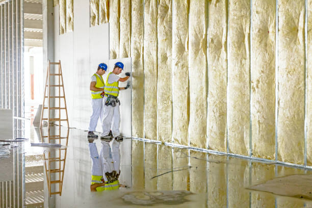 Best Energy-efficient Insulation  in USA